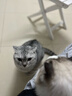 雷达（Raid）电热蚊香液168晚3瓶替换装 无加热器  无香型 驱蚊液驱蚊用品 实拍图