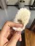 如山（LUSN）婴儿梳子胎毛去头垢刷婴幼儿专用羊毛梳新生儿宝宝洗头软刷子 天然榉木-羊毛梳【赠送收纳袋】 实拍图