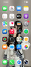 AppleiPhone 14 ProMax 【24期免息】 苹果14promax 国行5G苹果手机 银色【晒单有礼】 【99新】256G【限时特惠+三年店保+豪华礼包】 实拍图