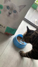 网易严选全价猫粮4.0 宠物主粮成幼猫无谷鲜肉美毛护肠胃 鸡肉羊奶味1.5kg 实拍图