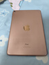 苹果/Apple iPad5/6/7/8/9/10/11 mini1/2/3/4/5/6二手平板电脑 95新(7.9寸)mini5-64G 【wifi版】 实拍图
