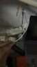 华为（HUAWEI）6A数据线充电线 USBType-C转USBType-C/线长1.8m/高品质线芯原装 白色CC800 实拍图