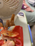 劲仔深海小鱼 麻辣味 200g/盒 20包 鱼仔鱼干海味零食 实拍图
