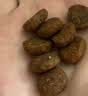 愛肯拿（ACANA）狗粮清火鸭肉梨成犬幼犬低敏去泪痕通用原装进口粮2kg效期27/4 实拍图