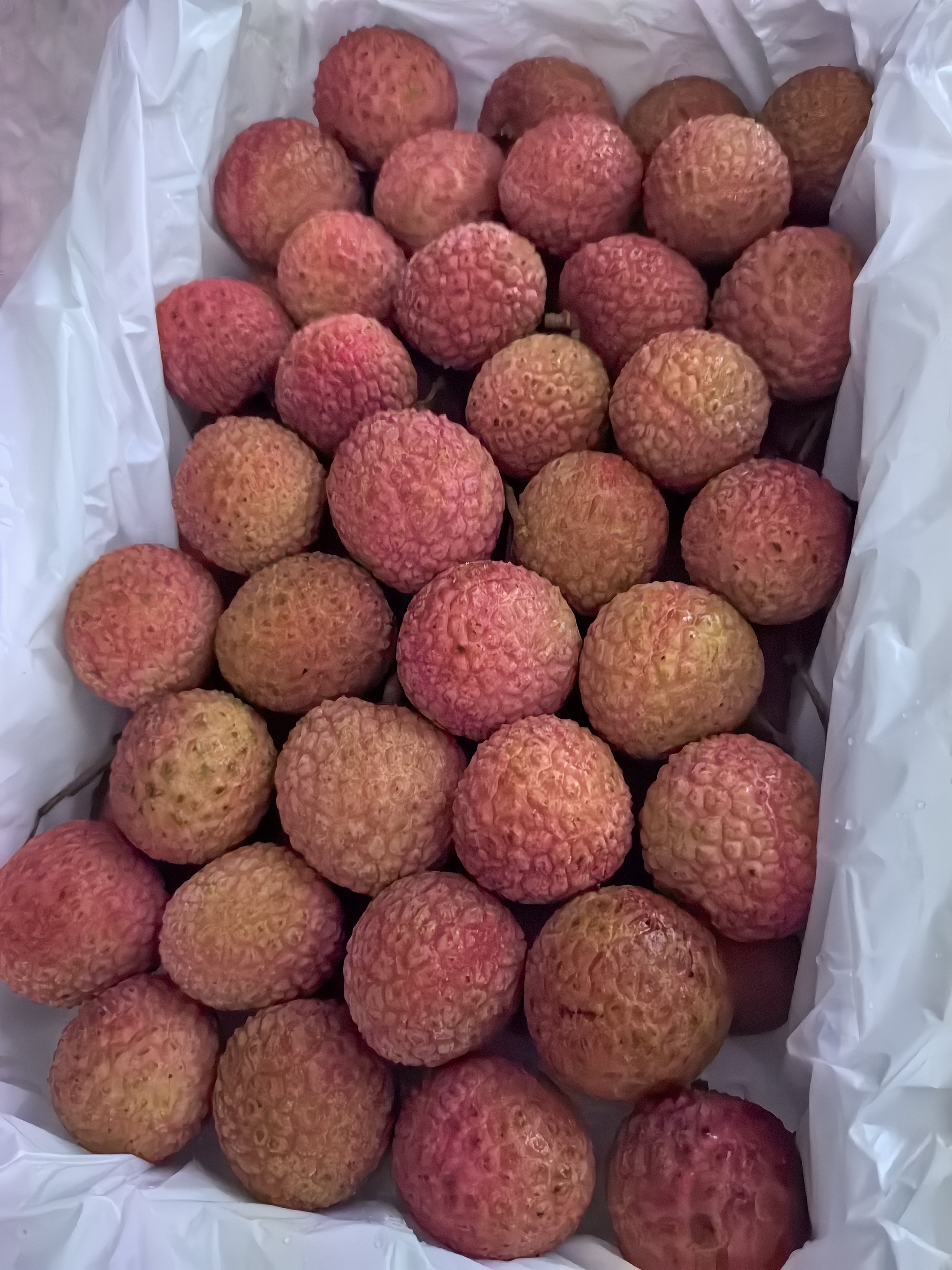 美菱10升小厨宝速热增容家用热水宝电热水器大水量内置防电墙一级能效国家补贴15%整机8年质保MD-110V 实拍图