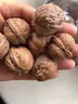 新疆特产新货红皮核桃薄壳红肉核桃天然坚果零食品官方正品 稀有红皮核桃100g【大补阳气】 实拍图