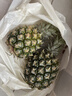 京鲜生徐闻香水菠萝 净重2.8-3斤 单果650g 新鲜水果生鲜源头直发 实拍图