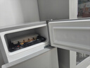 新飞冰箱小型租房用 一级能效冷 藏冷冻两用1-2人家用小冰箱 出租房双门电冰箱办公室两门 26年升级 38A一级能效【保温升级】银色 实拍图