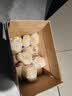辰实宜兴新鲜百合【26年新货发顺丰】 食用大百合 特产微苦软糯 5斤大果百合（约20个）推荐 实拍图