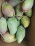 京地达攀枝花凯特芒果礼盒8斤巨无霸600g+肉厚无丝香甜新鲜水果送礼 实拍图