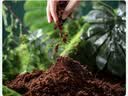史丹利椰糠砖650g*3 椰土砖椰砖营养土脱盐花土耶砖种菜通用型 实拍图