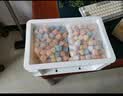 创宁鱼缸过滤材料3D益菌屋1斤装 陶瓷环细菌屋净水纳米石英球养鱼 实拍图