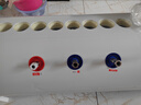 四季沐歌太阳能热水器家用 新品 长效保温 抗风加厚支架 节能防冻 1级能效 20管|150L手动上水不包安装 实拍图