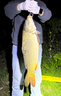 达亿瓦（DAIWA）控鱼器V 控大物 多功能路亚钳 取鱼器 路亚装备 垂钓配件钓鱼工具 V130K黑色 实拍图