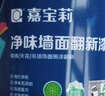 嘉宝莉补墙漆白色修补墙面翻新漆内墙去污遮盖净味速效内墙乳胶漆1kg 实拍图