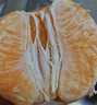 尚烤佳（Suncojia）保鲜罩 100只 一次性食品级保鲜膜套 保鲜袋套罩 适合多种碗盘 实拍图