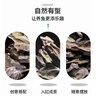 派乐特鱼缸松皮石造景石假山天然小块碎石多孔草缸成品原石片真石头 实拍图