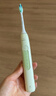 飞利浦（PHILIPS）声波电动牙刷钻石3系 5倍洁齿 5种模式 洁净刷头*2  生日礼物情侣母亲节礼物  HX5161/05抹茶绿 实拍图