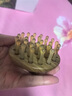 采药师牛角按摩梳绿檀木经络刷头皮部按摩器腹部小肚子肩颈椎520节礼物 实拍图