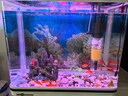 闽江（minjiang）鱼缸水族箱家用屏风生态造景中大型金龙鱼缸客厅免换水鱼缸 纯洁白色（养鱼礼包+升级过滤） 长60.6*宽31.2*高124(缸体+底柜) 实拍图