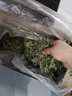BCM烘干紫花苜蓿草 幼兔兔粮 干草兔子牧草龙猫荷兰猪磨牙饲料750g 实拍图