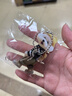 创意小泰迪背包亚克力平面挂件车载挂饰包包钥匙扣ins风送闺蜜 泰迪熊【戴帽子款活动专享】 1个装 实拍图