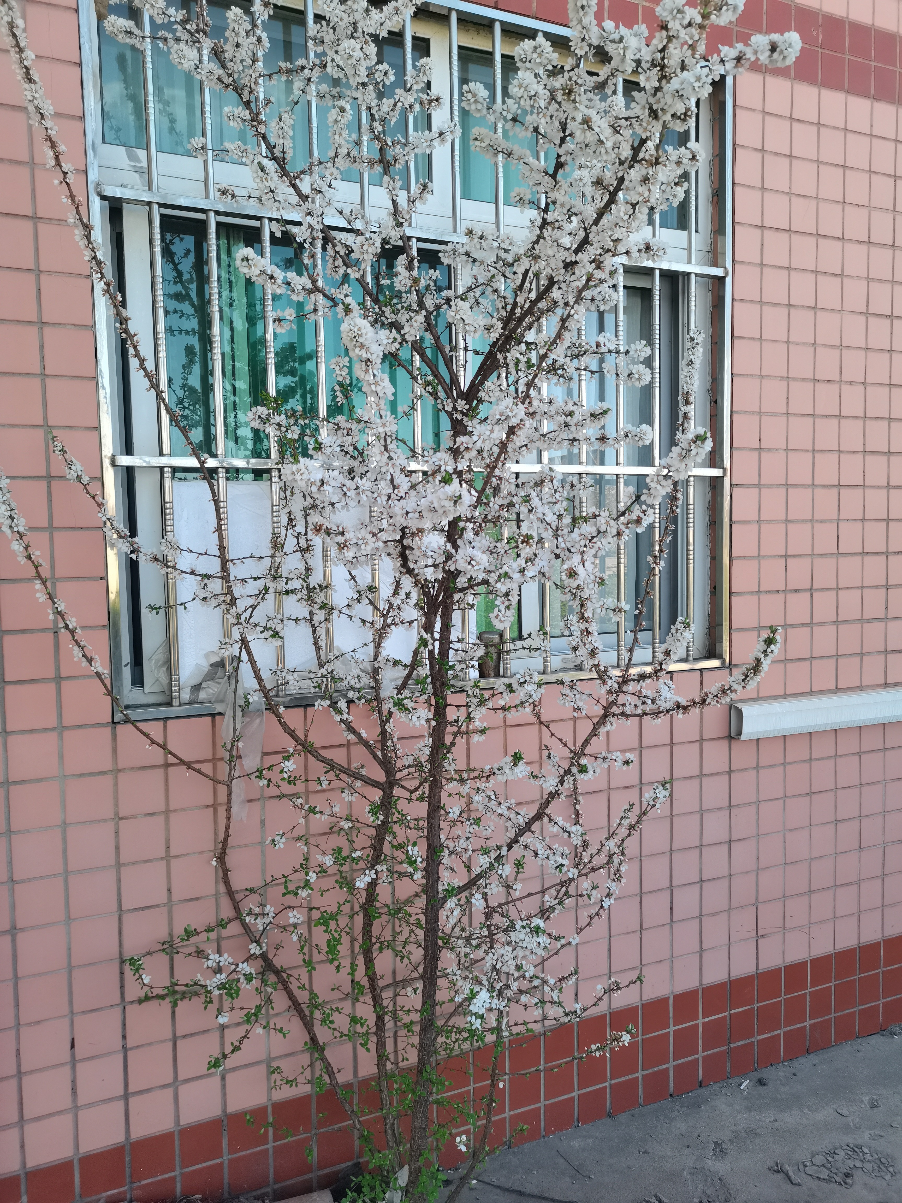 Akasugu爱舒屋婴儿护臀膏10g旅行装新生儿屁屁霜膏红屁屁乐无氧化锌膏 实拍图