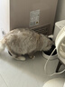 小佩宠物AI智能自动喂食器可视版 定时定量 视频监控(支持鸿蒙智联) 实拍图