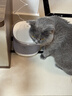 霍曼（Homerun）宠物双无线饮水机BF21 自动饮水器猫咪饮水机无线续航自由摆放 实拍图