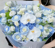 馨仪母亲节鲜花速递玫瑰向日葵康乃馨花束生日礼物全国同城配送 绣球玫瑰蝴蝶兰混搭花束 实拍图