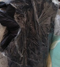 京东洗衣服务 羽绒服/棉服清洗5件 上门取送去渍整形 价值2000元内 实拍图