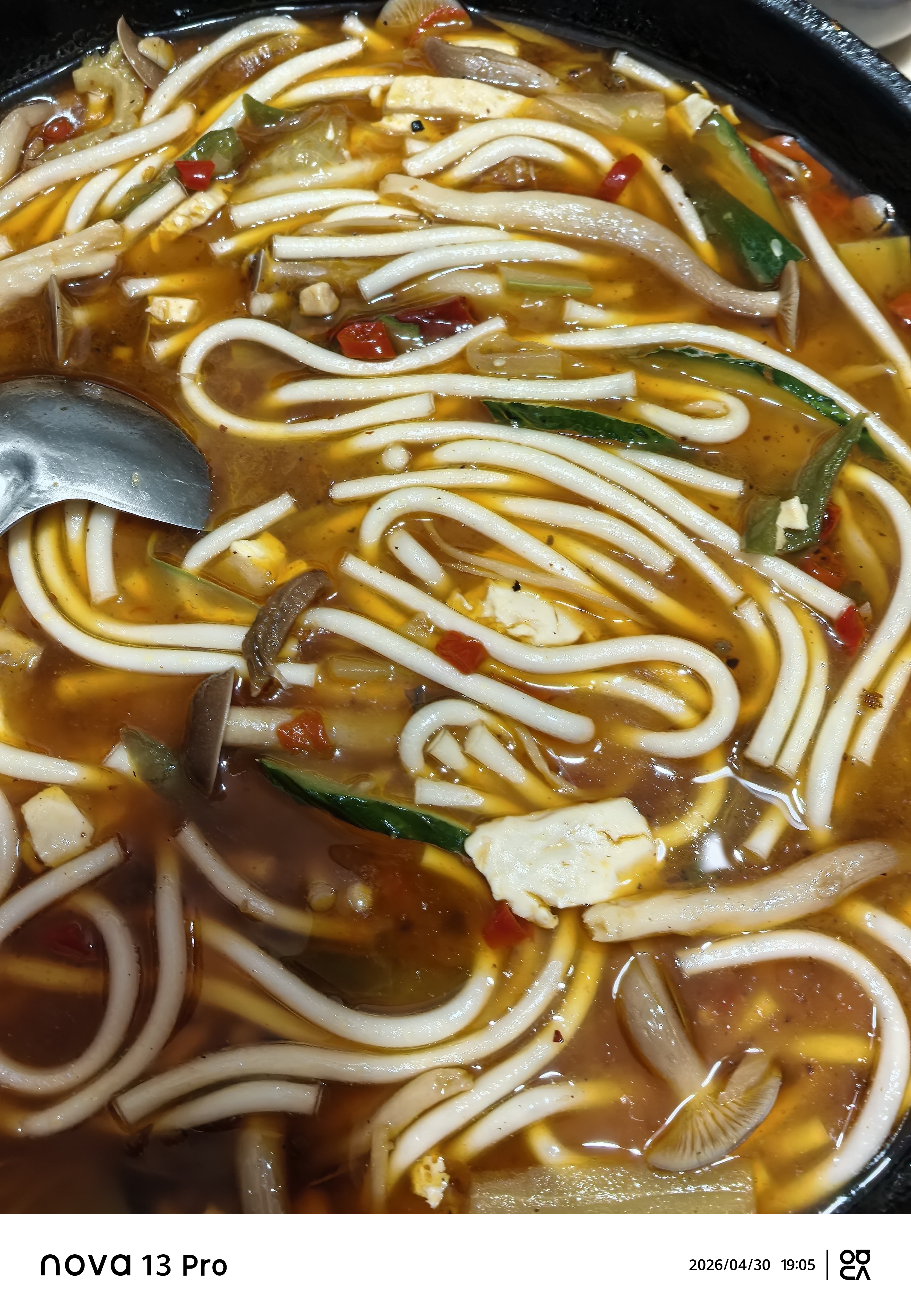 鲜窝窝 马铃薯鲜粉200g*3 土豆湿粉条细粉条火锅食材砂锅粉丝 实拍图