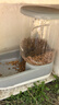 华元宠具超大容量宠物自动喂食器狗狗饮水机狗盆猫碗喂水猫咪投食器套装 实拍图