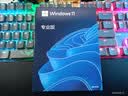 正版windows11专业版原版纯净重装10家庭简体中文pro苹果mac笔记本双系统M2芯片U盘远程 win11专业版-简体中文USB（可激活一台） 实拍图