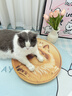 HELLOJOY猫抓板贴墙立式墙贴瓦楞纸耐抓耐磨不掉屑防猫抓垫沙发保护磨爪贴 实拍图