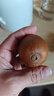 佳沛（zespri）新西兰阳光金果10个装单果重约103-114g 水果礼盒 猕猴桃水果礼盒 实拍图
