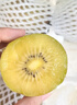 佳沛（zespri）新西兰 阳光金奇异果12粒特大果单果124-146g 猕猴桃水果礼盒 实拍图
