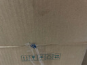 渔大叔 即食带籽皮皮虾肉虾爬子肉48g高蛋白高钙海味零食特产休闲零食 实拍图