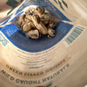 ZEAL狗狗猫咪零食绿唇青口贻贝50g 营养冻干宠物食品新西兰原装进口 实拍图