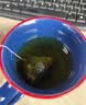 南同四海南京同仁堂菊苣栀子茶搭降效尿特茶痛风茶排高酸尿酸 实拍图