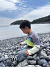泰兰尼斯学步鞋男宝宝春夏新款单网透气儿童鞋子软底面包鞋网布机能鞋女童 白/黑 单网 26 内长16.5适合脚长15.3~15.7 实拍图