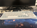 SKN青龙4.0/ultra 机械键盘 三模无线键盘 游戏办公键盘 Gasket结构客制化键盘 ZMK/QMK方案 2U大键0 青龙4.0 Ultra 凝【黑曜轴】 实拍图