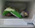 新飞 （Frestec）小冰箱迷你小型家用家电冷藏冷冻宿舍出租房办公室双开门二门电冰箱一级能效节能省电 38L银【店铺销冠+租房必备】 实拍图