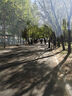 京东京造 户外露营车折叠推车营地车野餐摆摊装备买菜小拉车拖车沙石色 实拍图