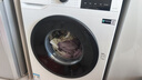 海信（Hisense）全自动滚筒单洗洗衣机 7.5KG超薄小型租房1.1洗净比一级能效WF75A1Q以旧换新家电补贴 京东自营 实拍图