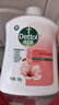 滴露（Dettol）洗手液抑菌消毒滋润500g+500g 补充装儿童家庭护手替换 实拍图
