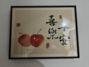 柳莺花燕免打孔电表箱装饰画现代简约客厅餐厅挂画电闸箱配电箱遮挡壁画 喜乐平安 45X35遮挡35X25表箱 上掀款 实拍图