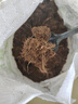 萌萌肉品氏泥炭土丹麦进口多肉营养土花土纯泥炭草炭养花基质疏松 纯泥炭10-30毫米2斤 实拍图