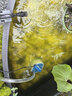 森森（SUNSUN）鱼缸过滤器外置过滤桶水泵水族箱净水循环系统 【杀菌款带滤材/1.2米以上】26W 5层排污 实拍图