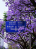 达芙妮红底黑色高跟鞋女2026新款纯欲不累脚尖头细跟气质高跟鞋女单鞋 实拍图